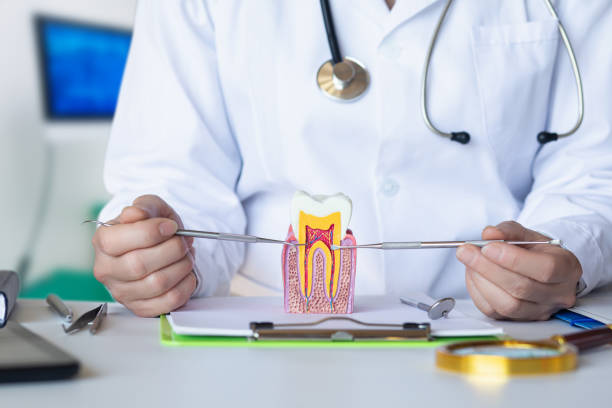 Best Emergency Denture Repair in Atoka, NM